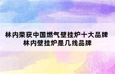 林内荣获中国燃气壁挂炉十大品牌 林内壁挂炉是几线品牌